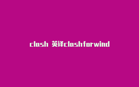 clash 英译clashforwindows代理设置