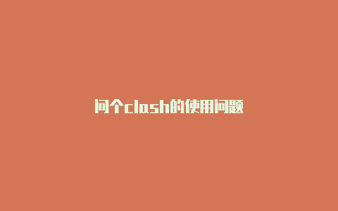 问个clash的使用问题