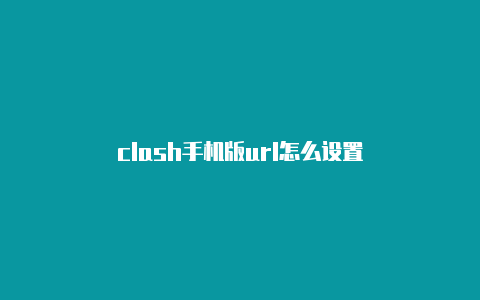 clash手机版url怎么设置