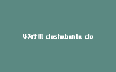 华为手机 clashubuntu clash 更换节点