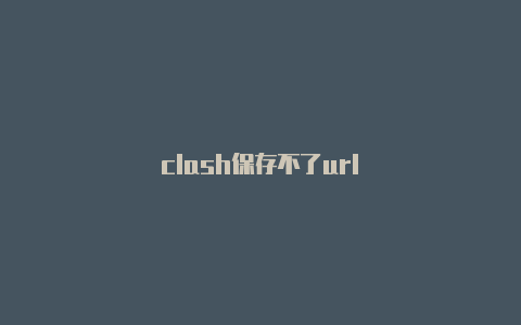 clash保存不了url