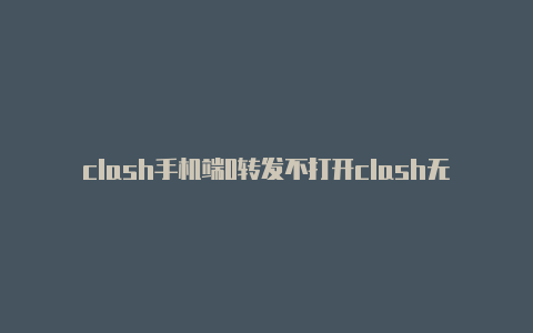 clash手机端0转发不打开clash无法连接网络