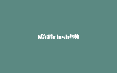 威尔胜clash参数