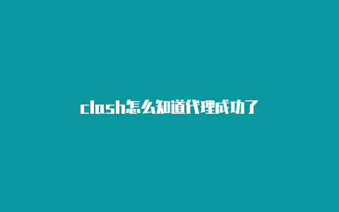 clash怎么知道代理成功了