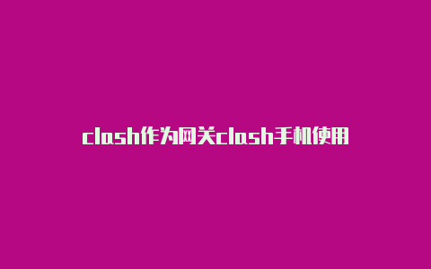 clash作为网关clash手机使用