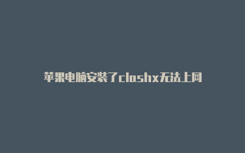 苹果电脑安装了clashx无法上网