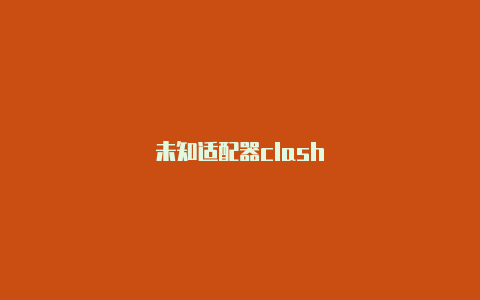 未知适配器clash