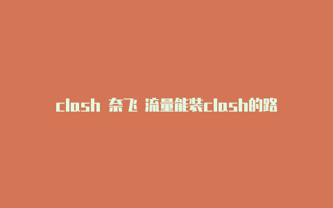 clash 奈飞 流量能装clash的路由器