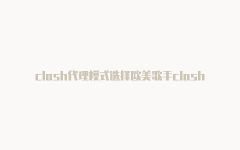 clash代理模式选择欧美歌手clash