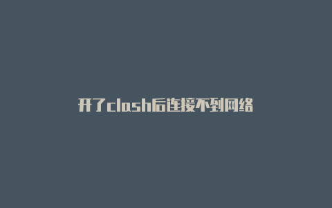 开了clash后连接不到网络