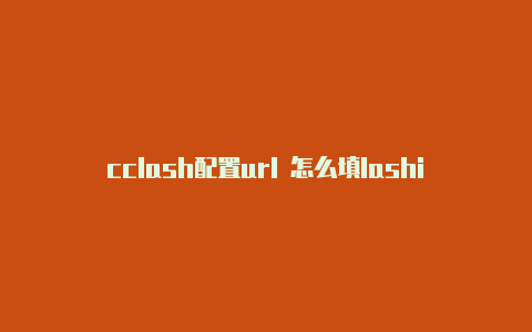 cclash配置url 怎么填lashingover