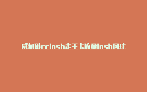 威尔逊cclash走王卡流量lash网球拍用什么弦