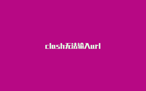 clash无法输入url