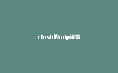 clash的udp设置