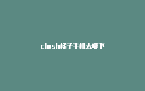 clash梯子手机去哪下