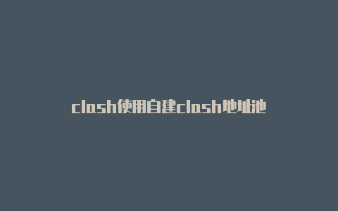 clash使用自建clash地址池