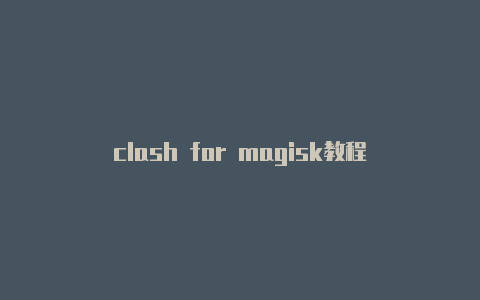 clash for magisk教程