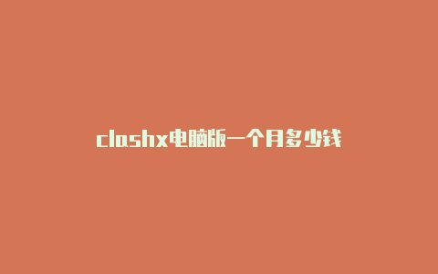 clashx电脑版一个月多少钱