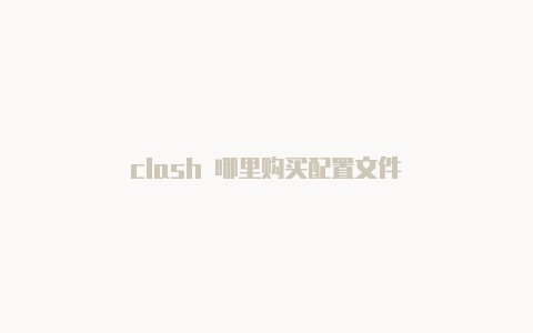 clash 哪里购买配置文件