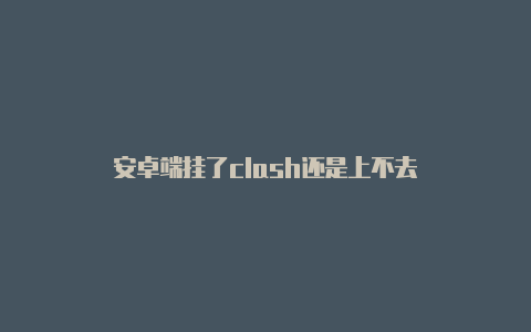 安卓端挂了clash还是上不去