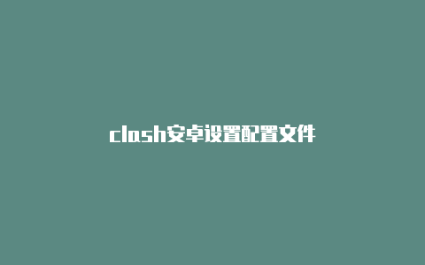 clash安卓设置配置文件