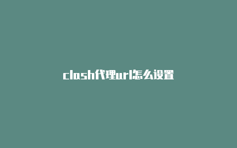 clash代理url怎么设置