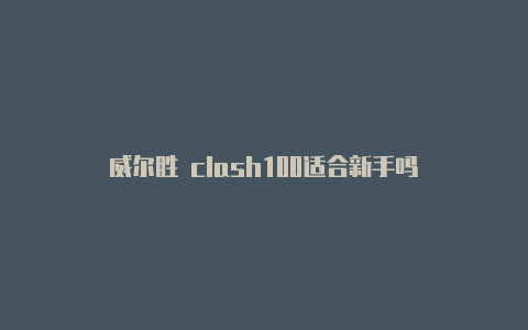 威尔胜 clash100适合新手吗