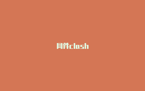 网件clash