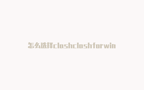 怎么选择clashclashforwindows端口怎么用