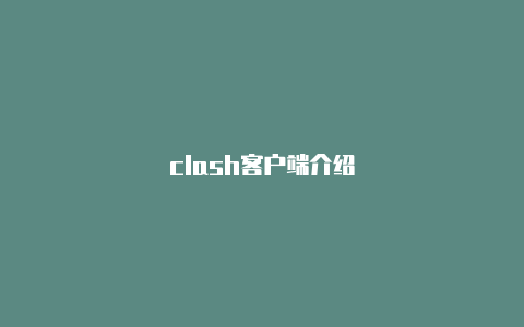 clash客户端介绍