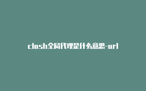 clash全局代理是什么意思-url