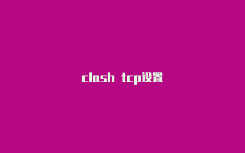 clash tcp设置