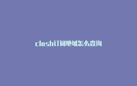 clash订阅地址怎么查询