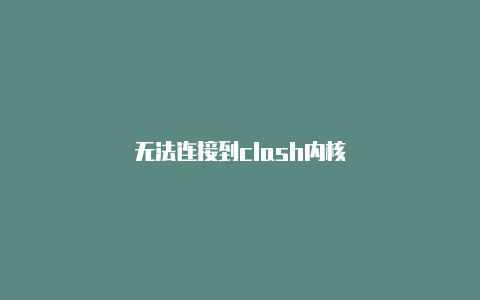 无法连接到clash内核