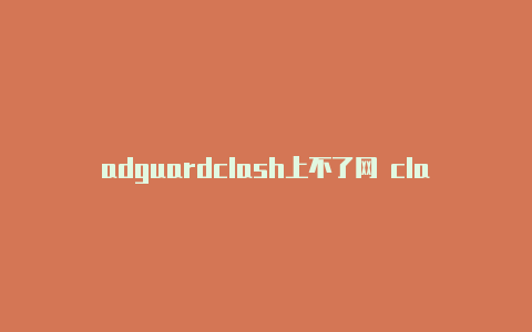 adguardclash上不了网 clash