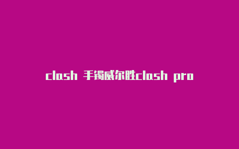 clash 手镯威尔胜clash pro 310克