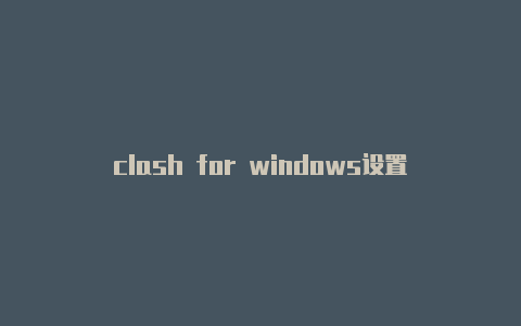 clash for windows设置