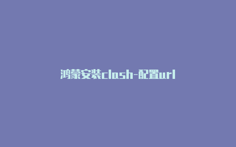 鸿蒙安装clash-配置url