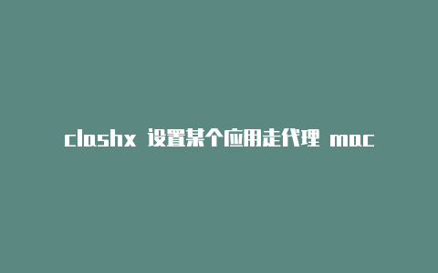 clashx 设置某个应用走代理 macviolent clash