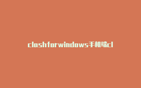 clashforwindows手机端clash怎么查ip地址