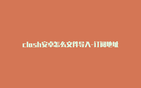 clash安卓怎么文件导入-订阅地址