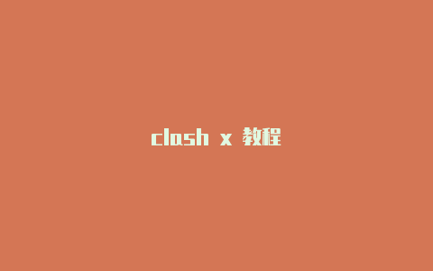 clash x 教程