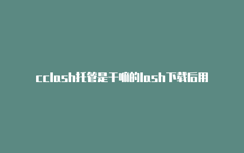 cclash托管是干嘛的lash下载后用不了