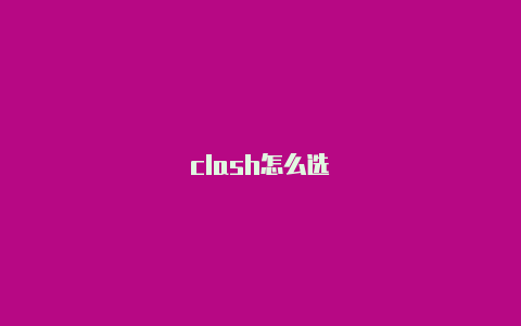 clash怎么选