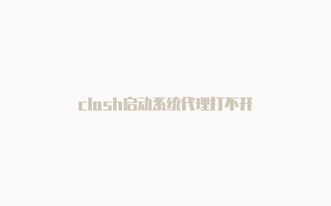 clash启动系统代理打不开