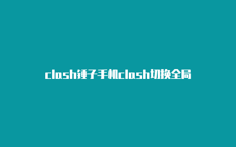 clash锤子手机clash切换全局