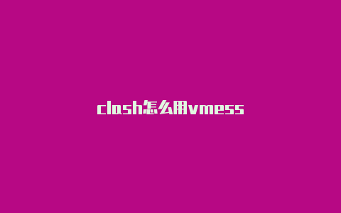 clash怎么用vmess