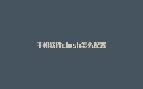 手机软件clash怎么配置