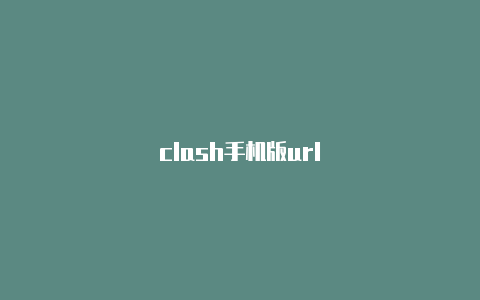 clash手机版url