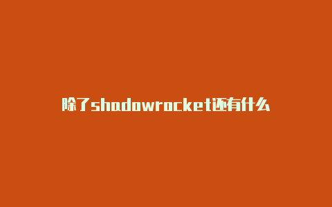 除了shadowrocket还有什么